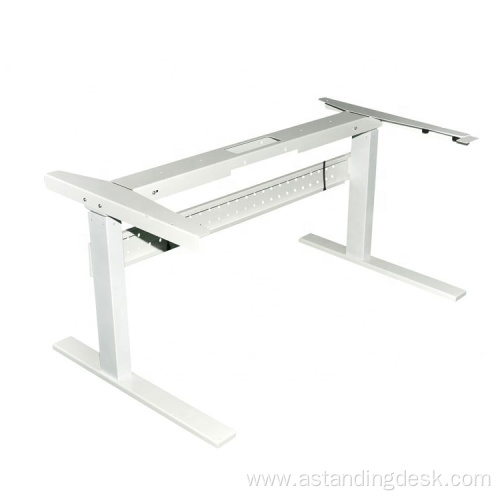 Luxury Office Adjustable Electric Motorized Sit Stand Desk